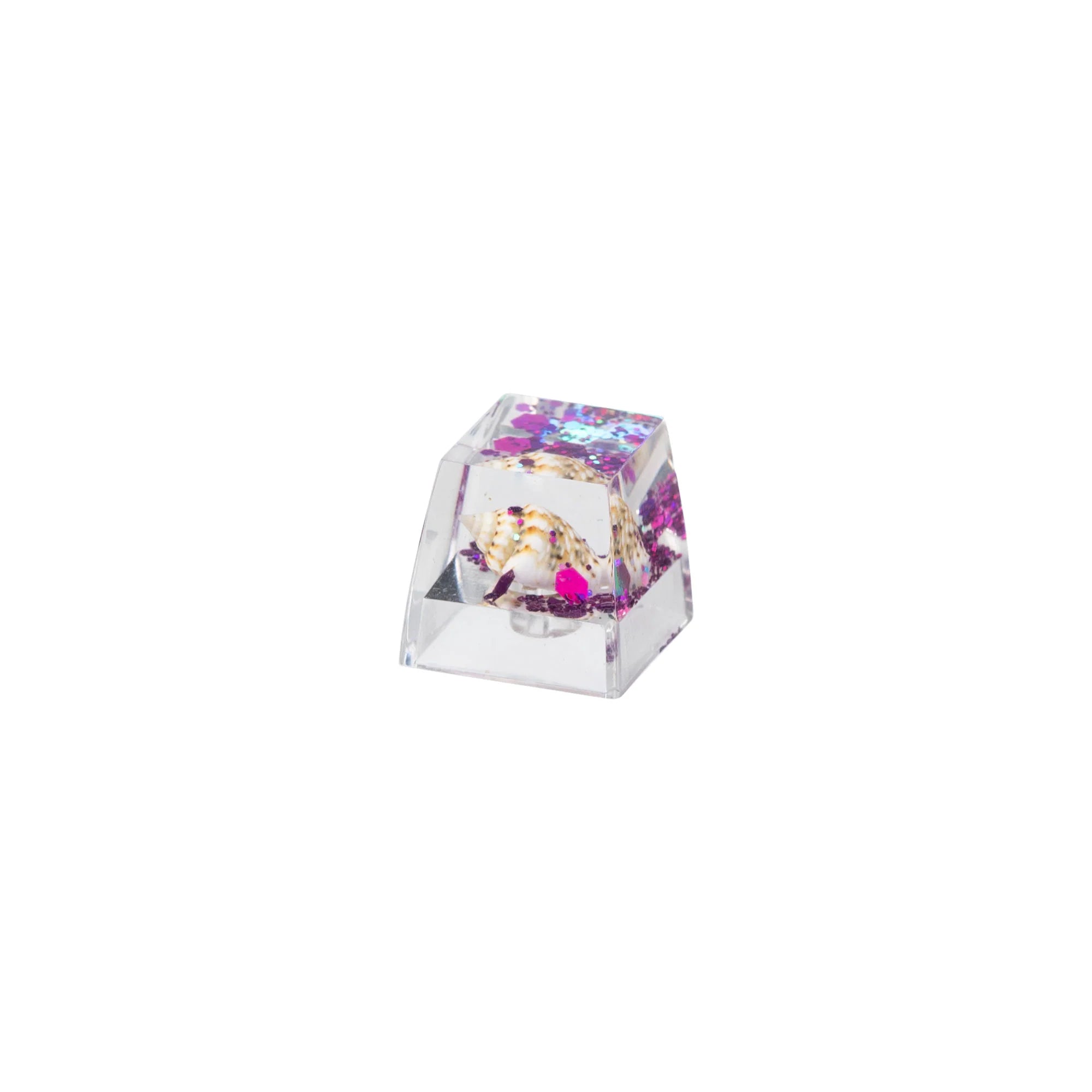 Whelk Resin Artisan Keycap - View 2